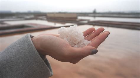 鹽巴|【餐桌到產地系列】鹽怎麼來？從海水、結晶到成就風味的旅程—…